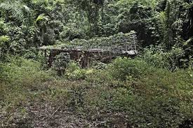 Photo of Land Contract — 3BR Single Family · Saipan, MP